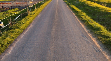 卒業後の進路